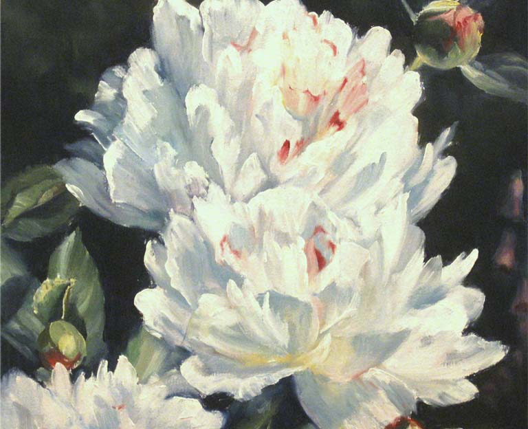 White Peony VII