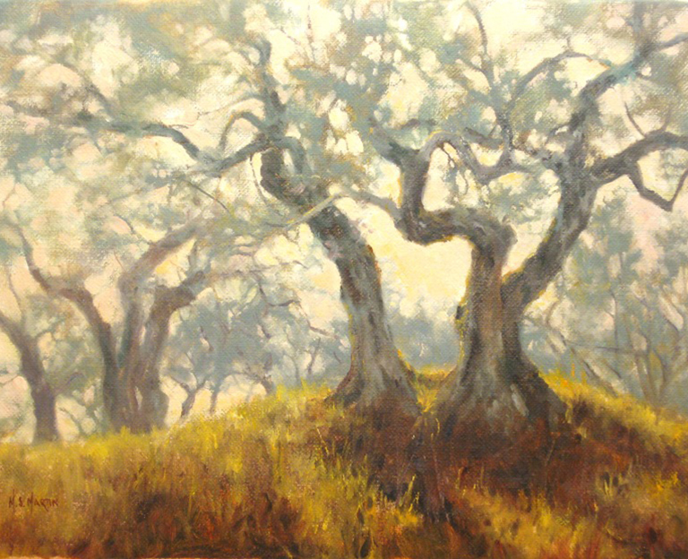 Olive Grove